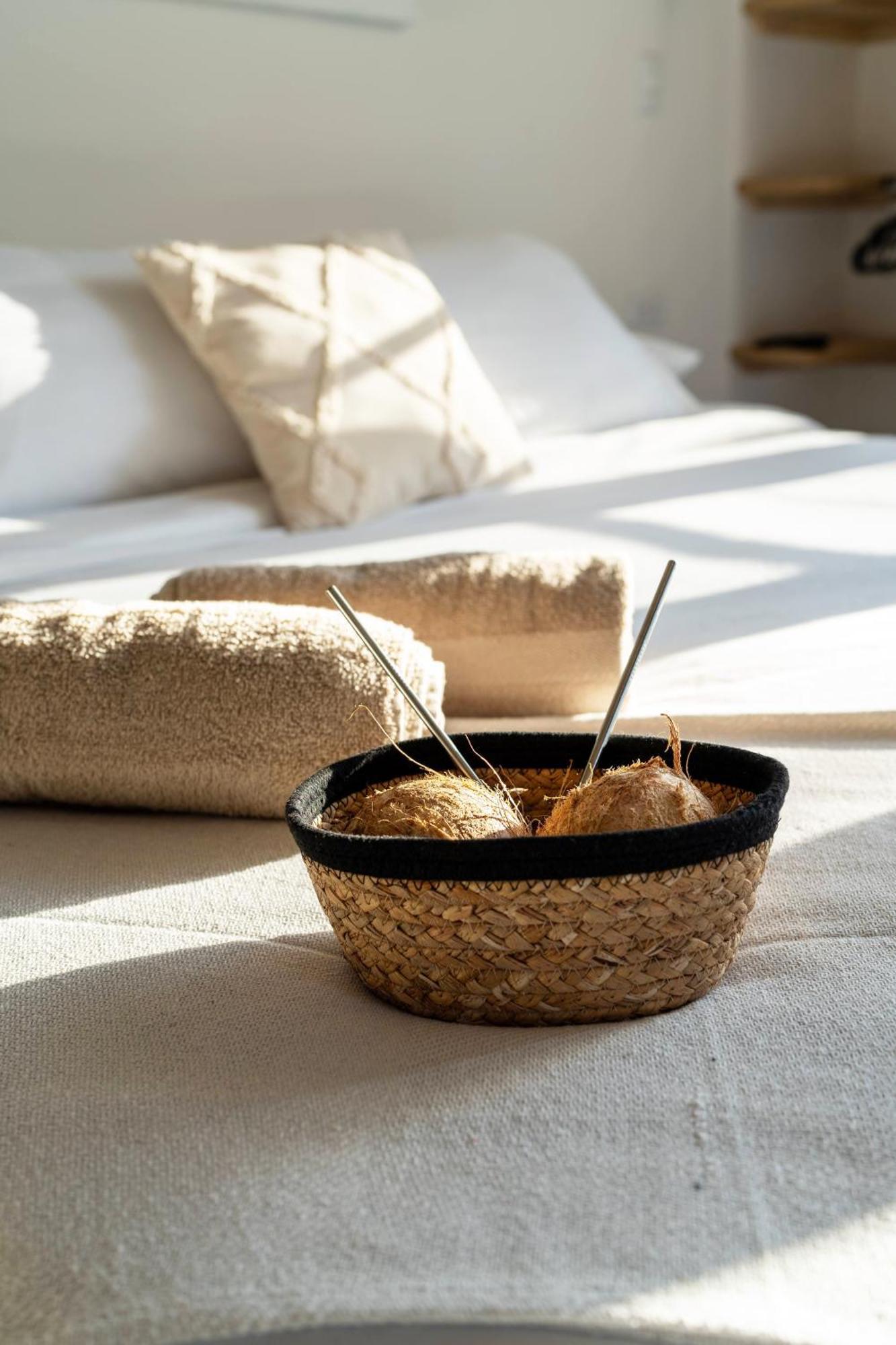 Alma Tropical - Luxury Villa Experience In Santa Teresa Playa Santa Teresa  Εξωτερικό φωτογραφία
